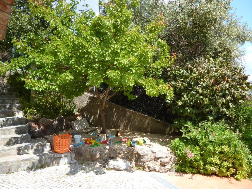 Villa Moinho Do Marco à Setúbal Chambre photo
